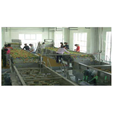 Fruit Listing Washing Combiner Combiner